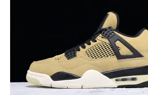 AQ9129-200 AQ9129-200 4 Air Jordan Mushroom 0508